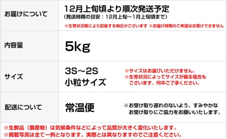 完熟 温州みかん 小粒スイート 5kg 和歌山県産