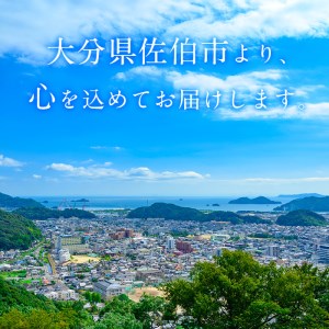 手作り塩セット(合計1.5kg以上・4種) 塩 ソルト 海水塩 しお なずなの塩 天日干し 食品 保存 調味料 漬物 梅干し 塩漬け 大分県 佐伯市