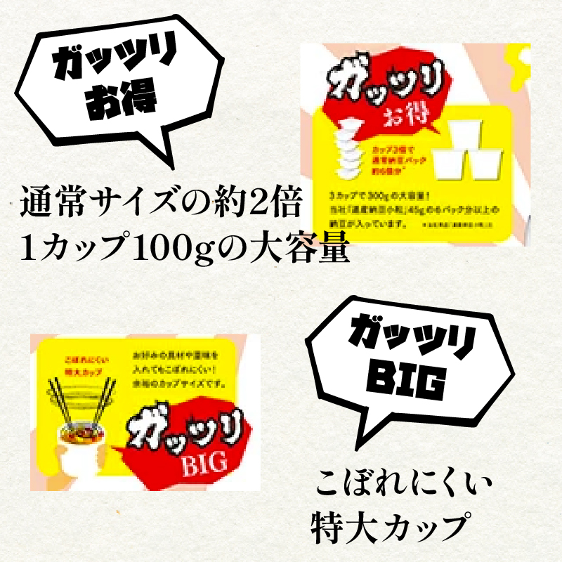 北海道のガッツリ納豆極小粒（100g×3入）10個