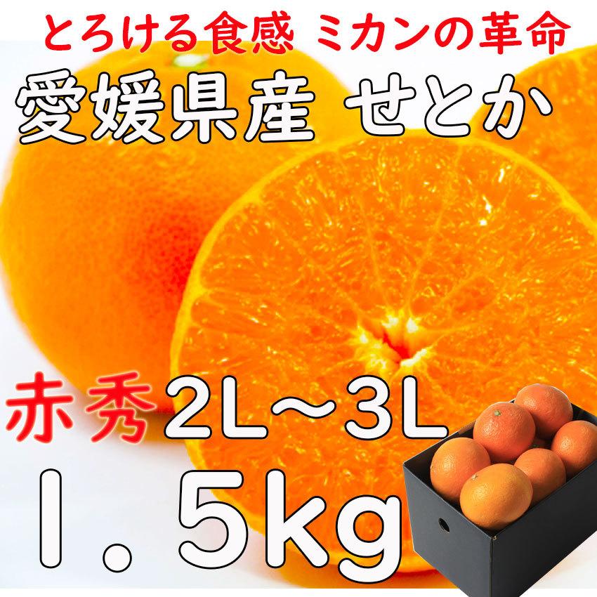 せとか  愛媛県産 赤秀 2Ｌ〜３Ｌサイズ 農協品 光センサー 贈答用 プレゼント 1.5ｋｇ お見舞い 御供  化粧箱 みかん 日付指定ＯＫ 指定日OK