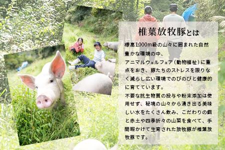 HB-29 THE HOUBOQ 豚肉 旨みの詰まった 幻のミンチ多用途 便利