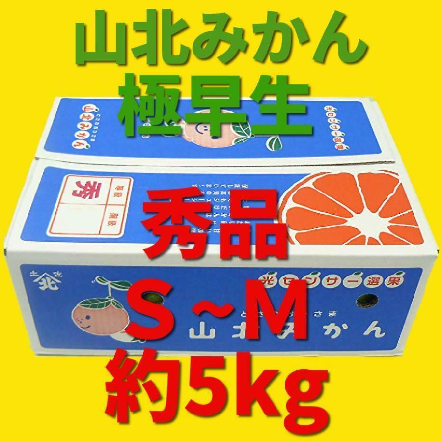  山北みかん 露地物 お歳暮 ギフト 秀品 Ｓ〜Mサイズ 約5kg