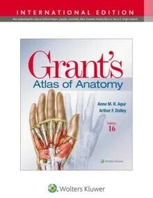 Grant's Atlas of Anatomy (16版) Agur  LWW