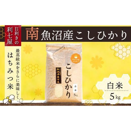 ふるさと納税 新潟県 南魚沼市 南魚沼産コシヒカリ『はちみつ米』白米5kg×全6回