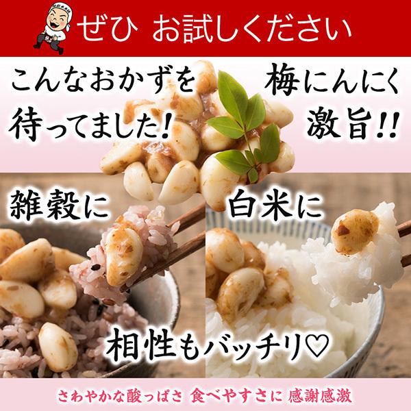 激旨 梅にんにく 200g(100g×2袋) 全く臭わない 元気の源無臭ニンニク ニオイなし スタミナ スタミナ食  ＼セール／