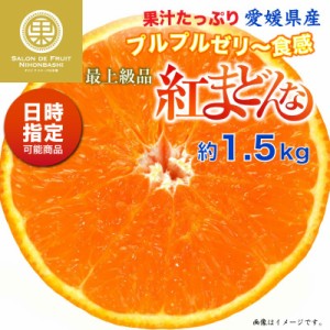 [予約 12月1日-12月30日の納品] 紅まどんな 約1.5kg 愛媛県 化粧箱 最上級品 お歳暮 御歳暮 冬ギフト