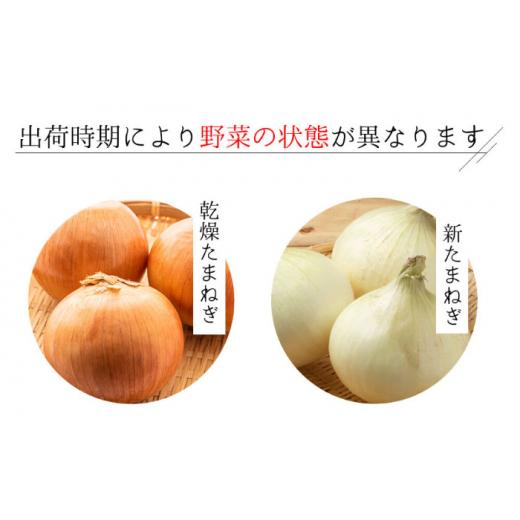 ふるさと納税 長崎県 大村市  じゃが玉人参セット 約5kg じゃがいも・玉ねぎ・人参の定番野菜 3品目の野菜詰め合わせ 夏季は7〜8品目 野菜…