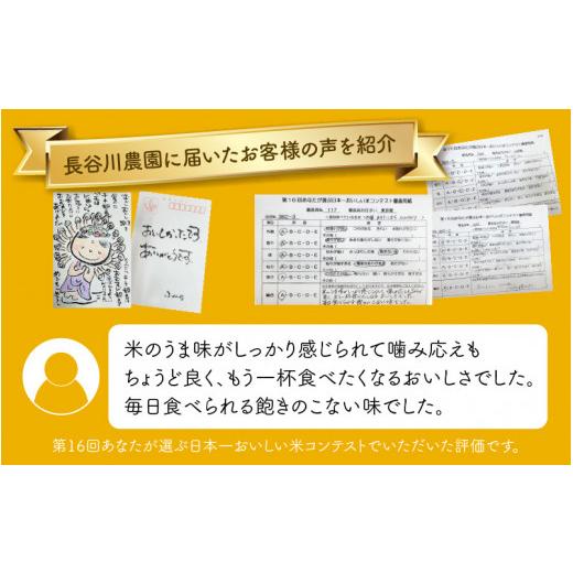 ふるさと納税 福井県 あわら市 にこまる 5kg×2袋（計10kg）