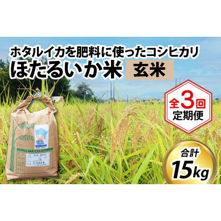 ふるさと納税 ほたるいか米（玄米５kg）×3回 計15kg  富山県滑川市