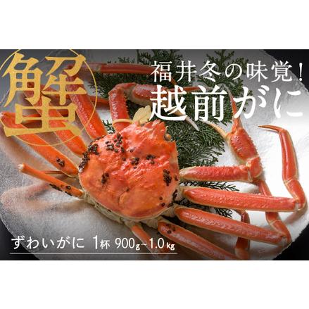 ふるさと納税 福井冬の味覚！越前がに 1杯（900g〜1kg） 福井県鯖江市