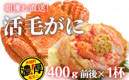 三陸産 三陸活毛ガニ400g×1杯（1尾）　天然 国産 冷蔵 三陸 直送 濃厚