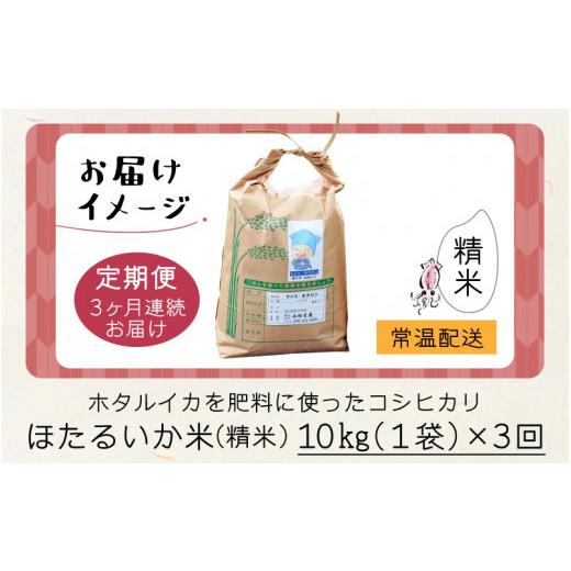 ふるさと納税 富山県 滑川市 ほたるいか米（精米10kg）×3回 計30kg