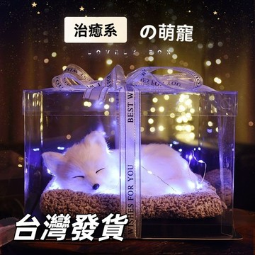 【本土發貨】生日禮物 送女生閨蜜 禮盒 女友 模擬猫咪玩偶 兒童禮盒 叫聲