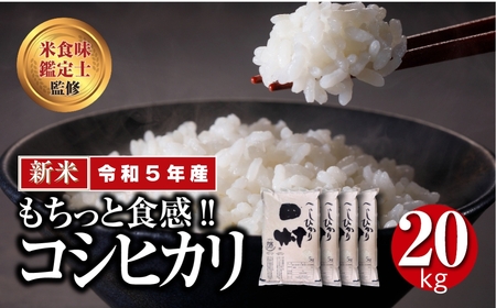  田村産 コシヒカリ 20kg (5kg×4袋) ギフト 贅沢 のし対応 １週間以内発送 福島 ふくしま 田村 贈答 美味しい 米 kome コメ ご飯 ブランド米 精米したて お米マイスター 匠 食味鑑定士 安藤米穀店