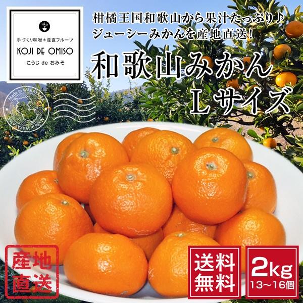 産地直送 和歌山みかん Lサイズ 2kg  ［送料無料 ※北海道、沖縄は送料別途500円］