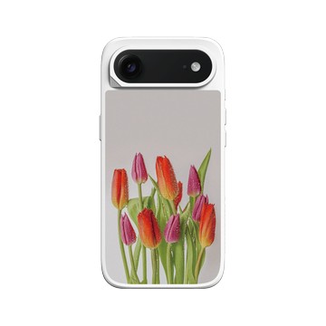 iPhone Air SolidX 白 - Joe Horner - Tulips 鬱金香