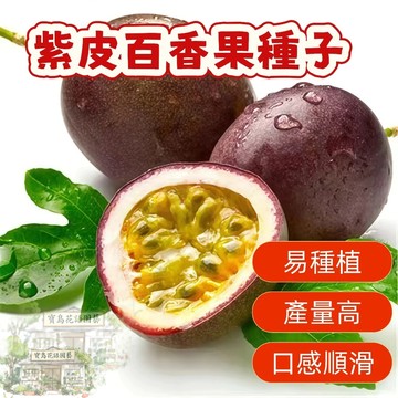 🔥紫皮百香果種子BXG-15 西番蓮種子 時計果、雞蛋果Passion Fruit多汁可口,果實飽滿薄皮四季盆栽水果種子