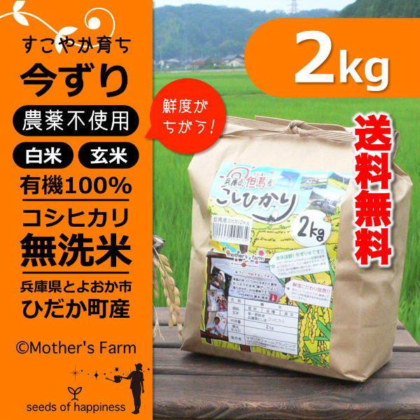 新米 無洗米 玄米 白米 2kg 今ずり米 農薬不使用 コシヒカリ 令和5年産 送料無料