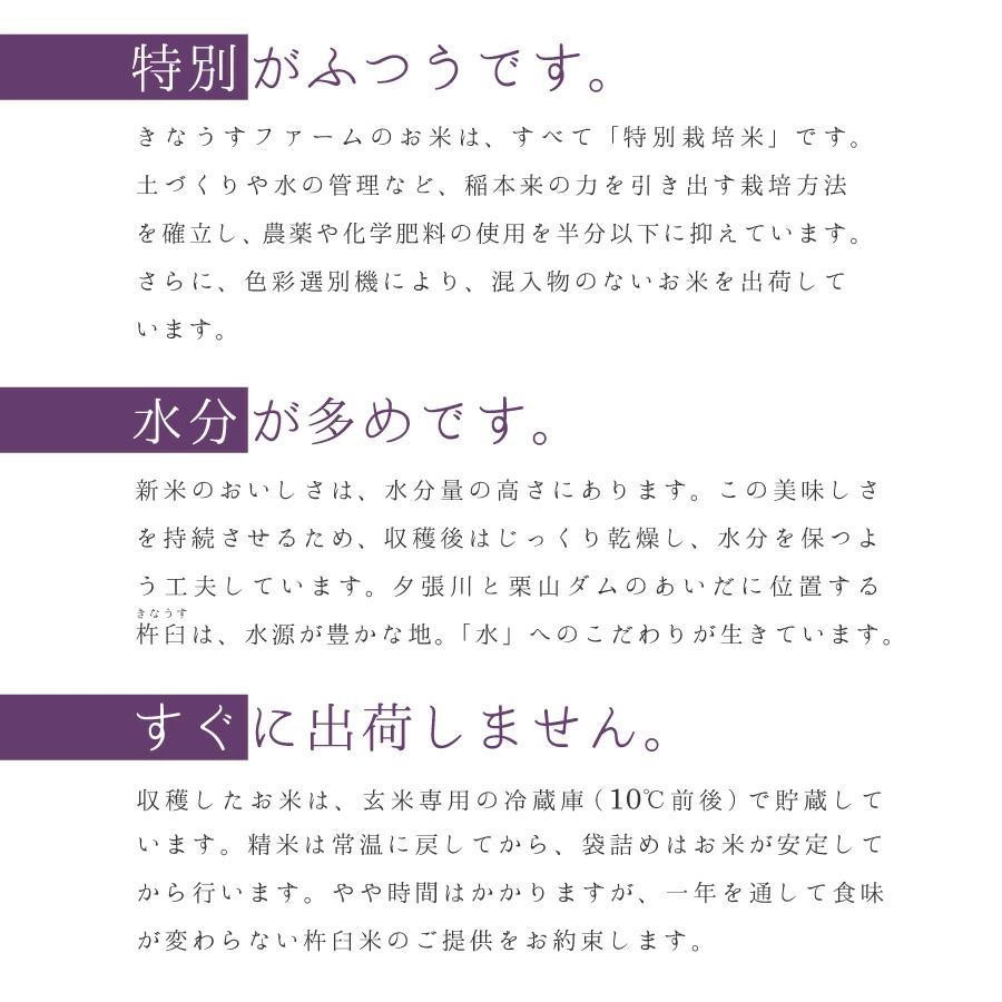 本日クーポンで5％OFF ゆめぴりか 無洗米 5kg 特別栽培米 新米 令和5年産 北海道産 米 農家直送 特A 減農薬 2023年産 送料無料