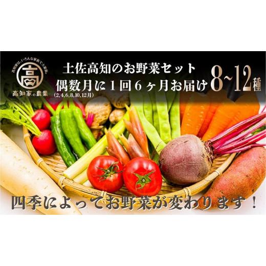 ふるさと納税 高知県 高知市 高知の新鮮野菜セット／旬の野菜を味わう6ヵ月便