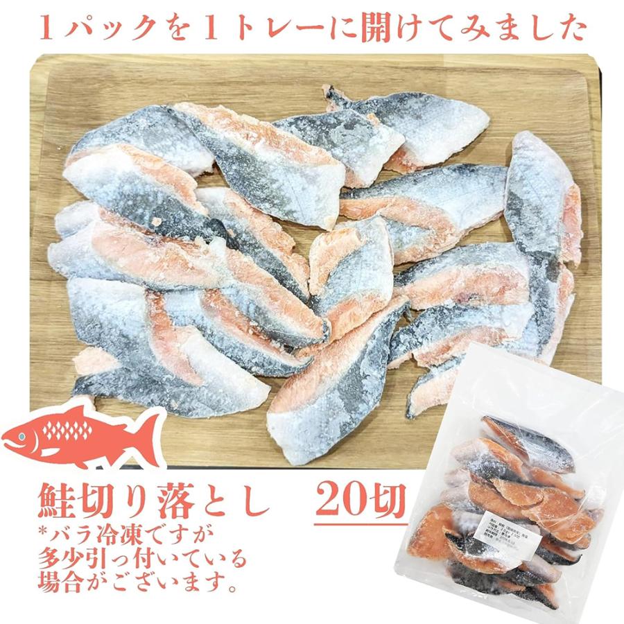 鮭切り身 600g 塩鮭 鮭 切り落とし 冷凍 1袋 600g (約30g×20切) お弁当 おかず 小さめ 規格部外品 切り身 鮭 シャケ サケ 鮭