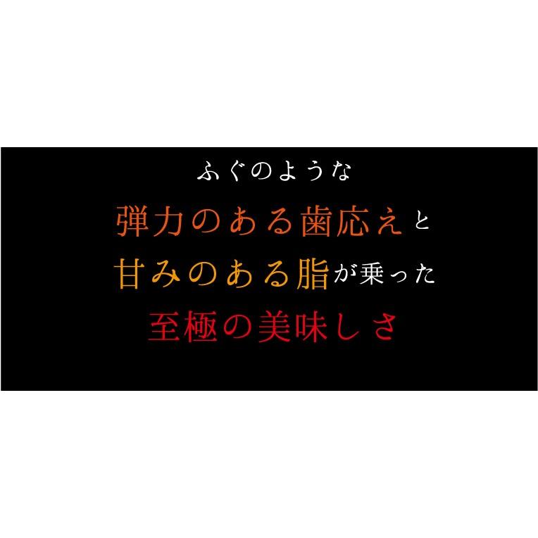 浜名湖うなぎの刺身(ハーフ) 魚魚一(とといち) お歳暮 のし対応可