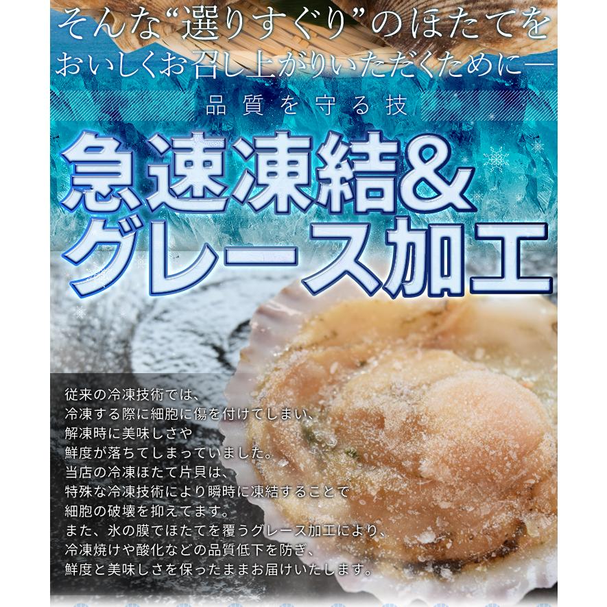 ほたて カンカン焼きセット ２０枚入 冷凍ほたて 送料無料 北海道産 半缶入り（貝むきナイフ・片手用軍手付き） ほたて片貝 海鮮 バーベキューセット