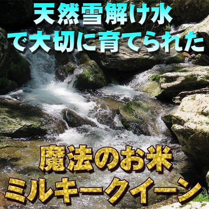 新米 令和5年 米 お米 30kg  新潟県南魚沼産ミルキークイーン 玄米30kg  精米無料 ｜ 玄米 米 おこめ お米 30kg 送料無料 ｜ LINE友達登録で5%OFFクーポン