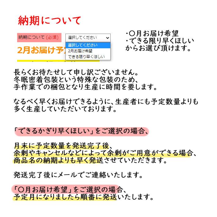 10月下旬から発送開始予定 令和5年 米 10kg お米 長期備蓄 約5年 無洗米 はえぬき 夢味米 10kg 2kgx5袋 冬眠密着包装 真空パック 送料無料 山形県産 東北食糧