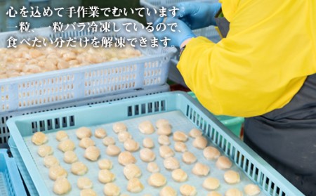 お刺身用ホタテ貝柱600g(300g×2)  ほたて 帆立 生食用 小分け 事業者支援 中国禁輸措置