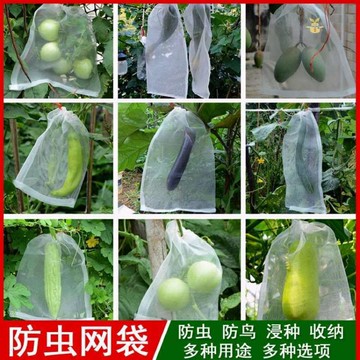 防鳥網 尼龍網袋火龍果套袋專用套果袋葡萄套袋水果套袋防果蠅防蟲防鳥袋 限時88折