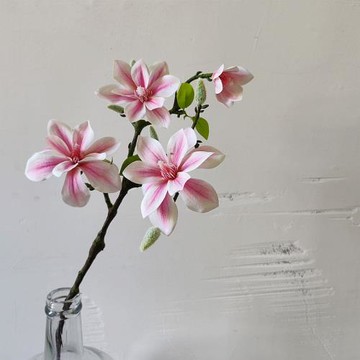 溫婉木棉花仿真花長枝 新中式絹花大玉蘭花假花
