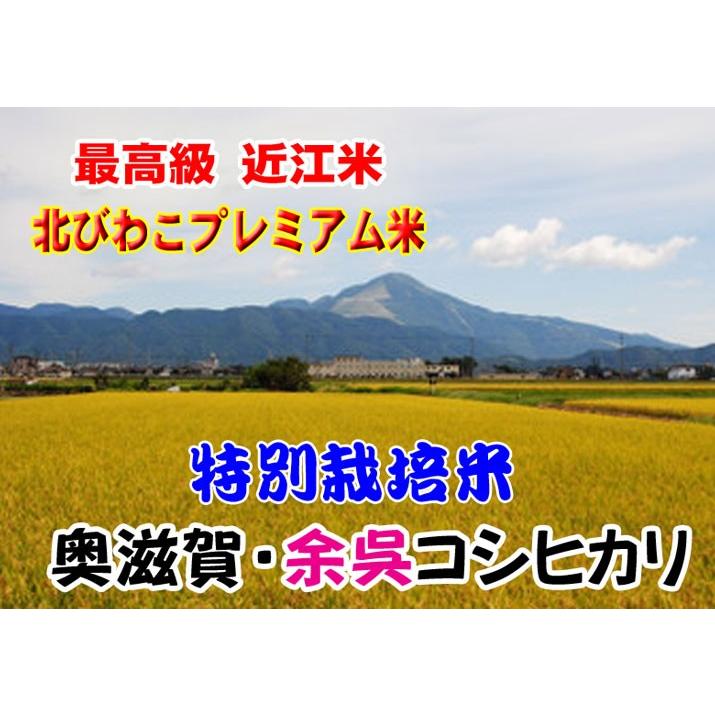 新米 令和５年産 お米 10kg (5kg×2) 特別栽培米 プレミアム コシヒカリ 近江米 滋賀コシヒカリ 玄米 白米 7分づき 5分づき 3分づき 出荷日精米 送料無料