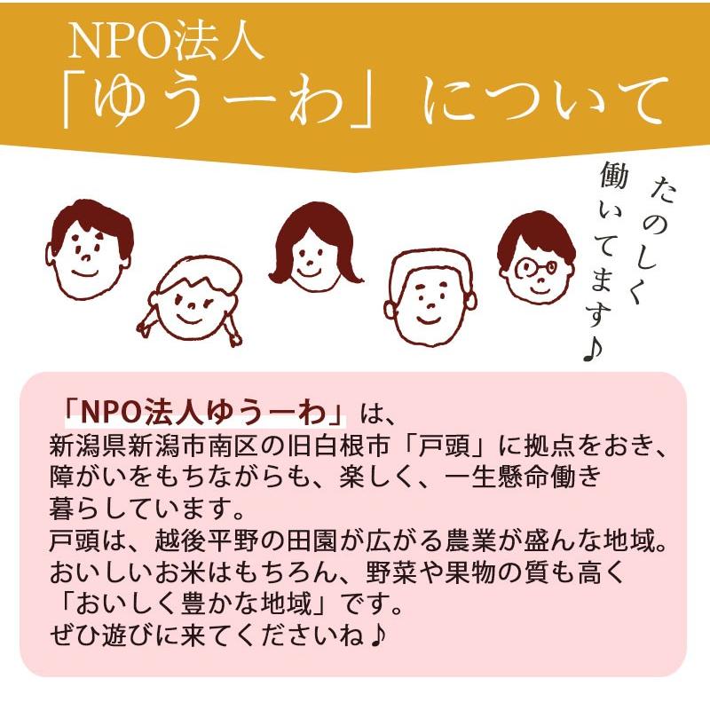 もち麦 国産 600g 雑穀 翌日配送 新潟産 戸頭大麦屋 はねうまもち 食物繊維 βグルカン 健康 お試し プチギフト お中元