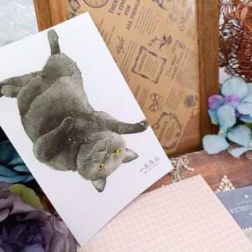 LS142貓咪明信片_03_Cat Postcard_03/明信片