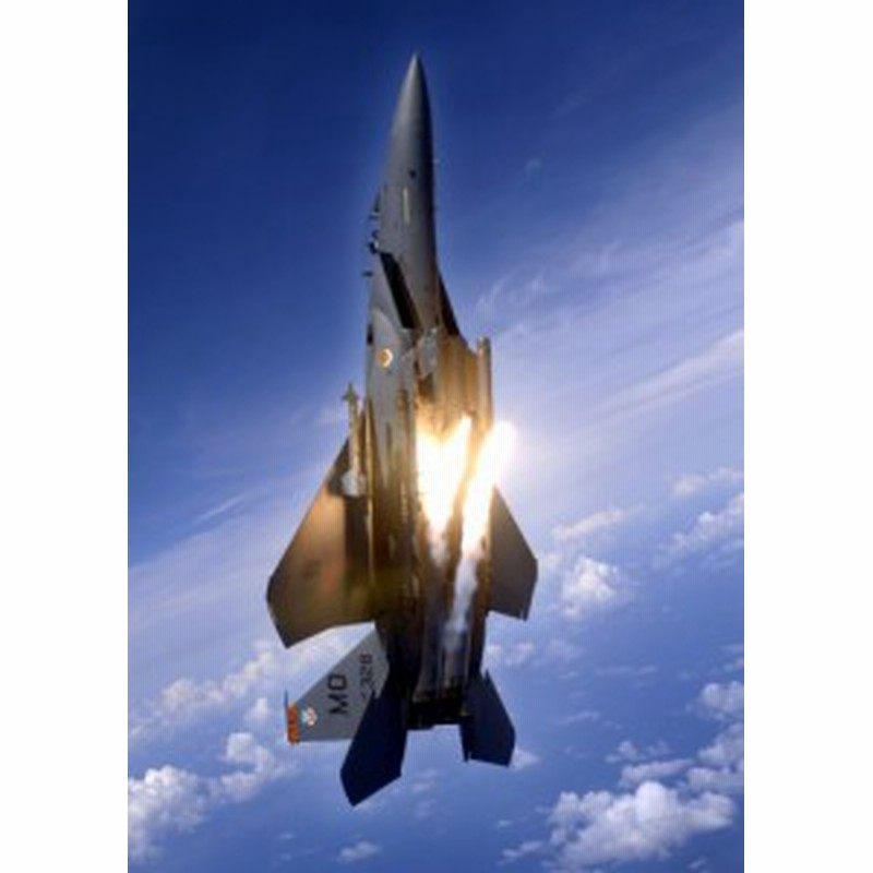 絵画風 壁紙ポスター 戦闘機 F 15e ストライクイーグル 垂直飛行 米空軍 キャラクロ Uaft 006a2 版 4mm 594mm 通販 Lineポイント最大1 0 Get Lineショッピング