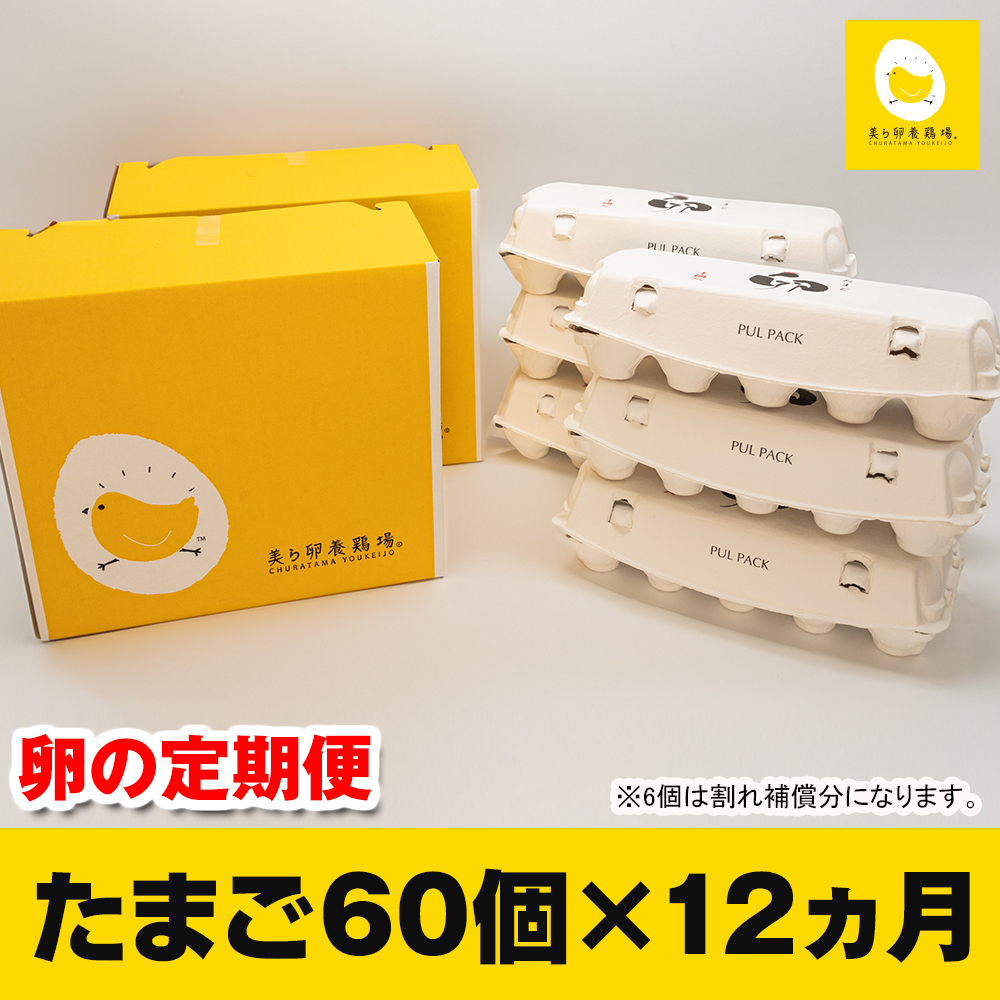 12ヵ月連続お届け　美ら卵養鶏場の卵　各月60個