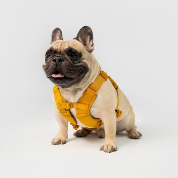 SPUTNIK 胸背帶 - 黃色