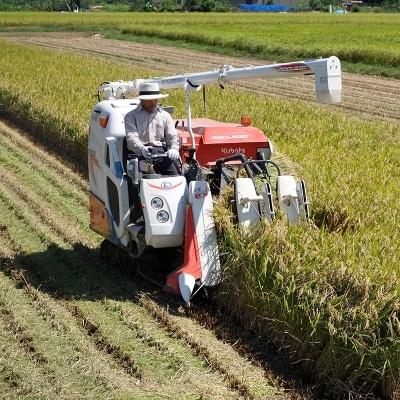 ふるさと納税 田上町 新潟田上町産なんかんコシヒカリ玄米 5kg