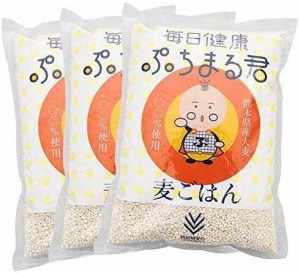 西田精麦 毎日健康 ぷちまる君 熊本県産 大麦 ×3袋