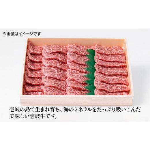 ふるさと納税 長崎県 壱岐市 お肉 壱岐牛 焼き肉セット 500g 《 壱岐市 》 [JCG054] 51000 51000円