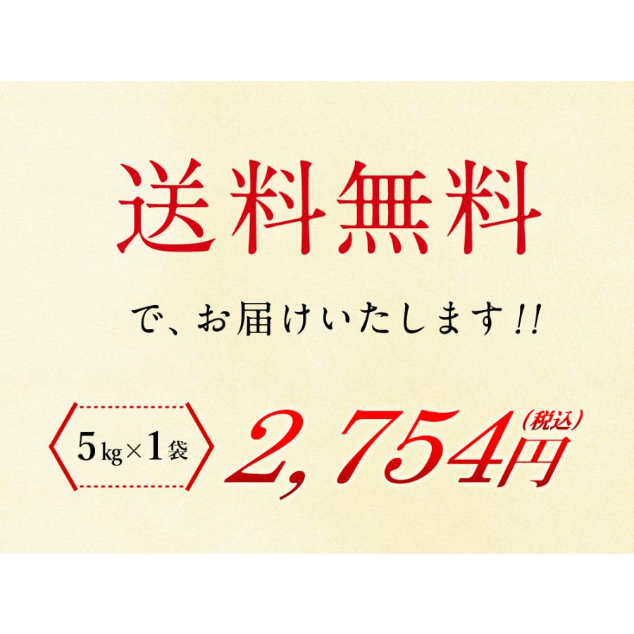 新米 新潟県産 コシヒカリ 5kg（5kg×1袋） 送料無料  令和5年度産 新潟県産 精米 米 お米 5kg（北海道・沖縄別途送料）（配達日・時間指定は不可）