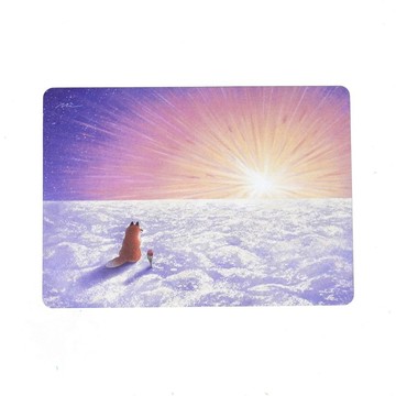 明信片- Sun, sun, sun, here it comes