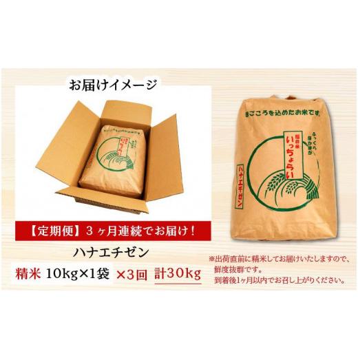 ふるさと納税 福井県 あわら市 令和5年産 ＜定期便3回＞ ハナエチゼン 精米 10kg×3回（30kg）《発送直前精米！》 ／ 福井県産 ブランド米 ご飯 白…