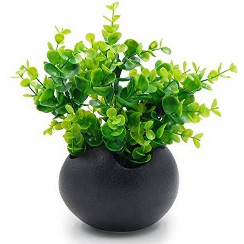 Tossow 植木鉢 陶器鉢 卵形 多肉植物 サボテン鉢 ハーブ プランター容器 おしゃれ プレゼント ミニ ブラック 通販 Lineポイント最大0 5 Get Lineショッピング