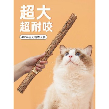 【48時熱賣】木天蓼磨牙棒磨牙潔齒貓咪玩具自嗨解悶神器逗貓棒貓薄荷耐咬