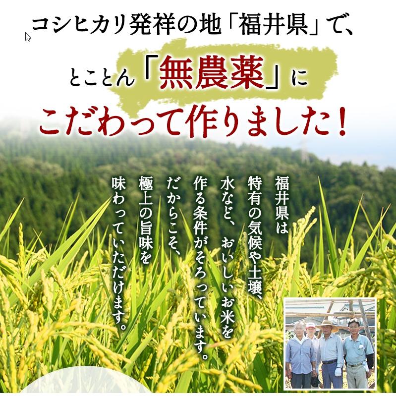 無農薬 米 玄米 15kg(5kg×3）新米入荷 無農薬 コシヒカリ 特選 令和5年福井県産 送料無料 無農薬・無化学肥料栽培