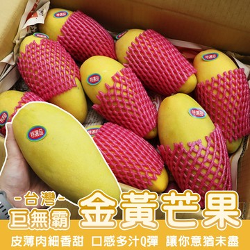 【WANG 蔬果】超大巨無霸XXL金煌芒果x2箱(原箱5~9入/約10斤)