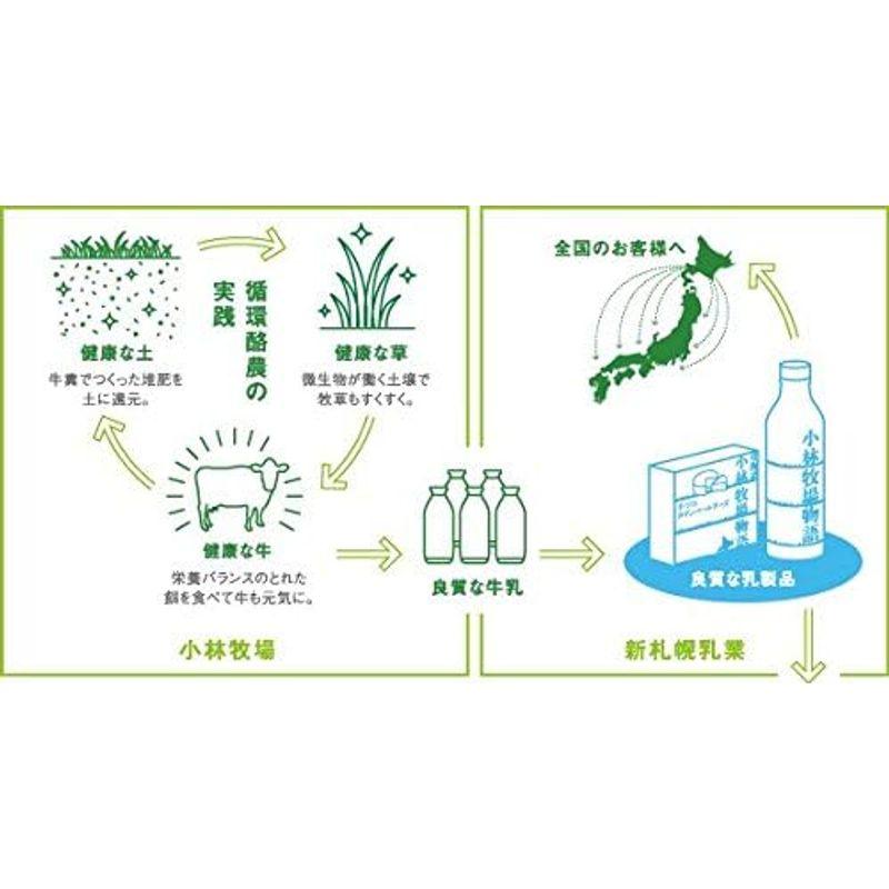 のむヨーグルト プレーン 500g×6本入 (北海道小林牧場物語) 北海道こばやしぼくじょうの生乳のみ使用