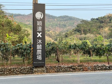 穎達農場超優農地｜屏東縣萬巒鄉牛角灣段